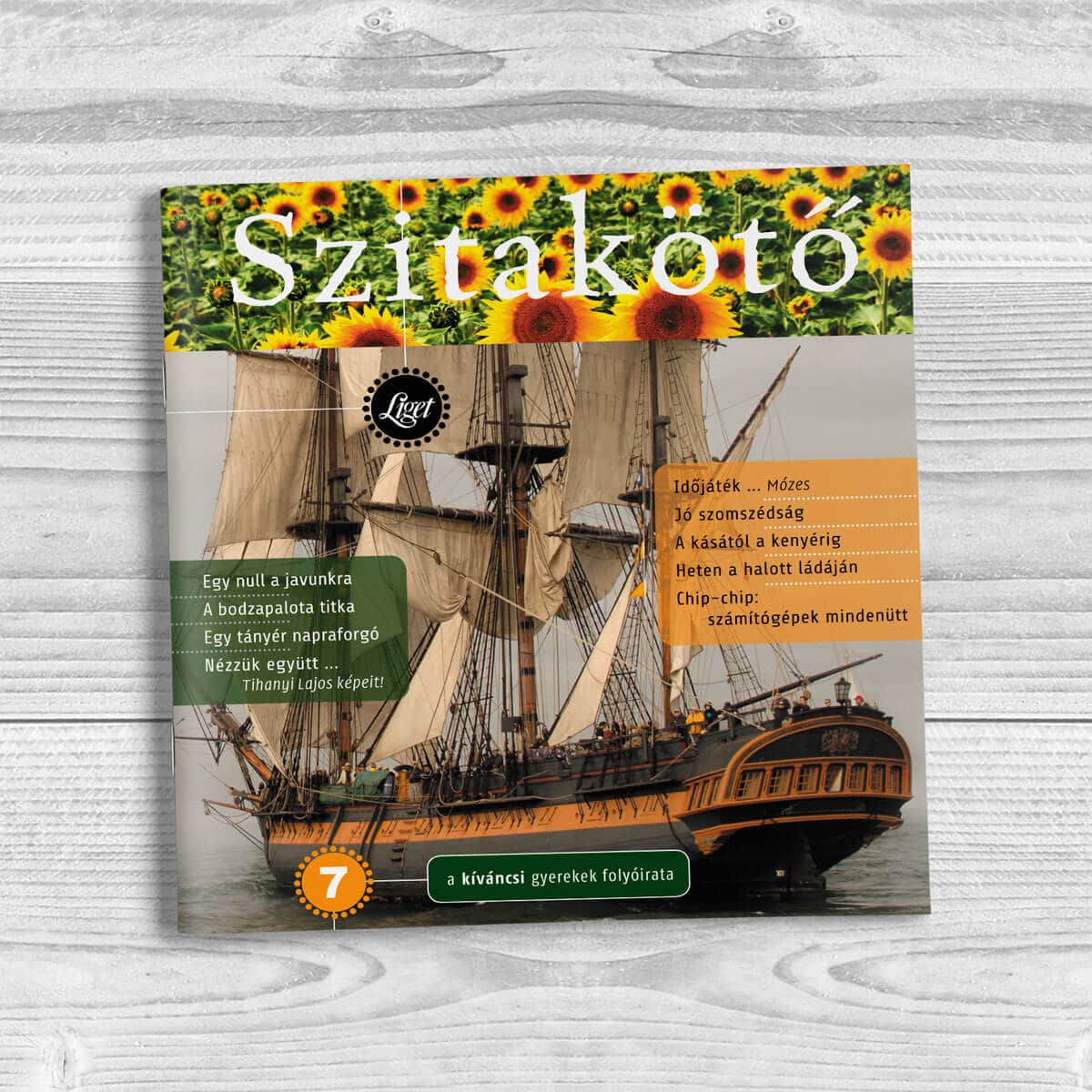 Szitakötő 2009-7