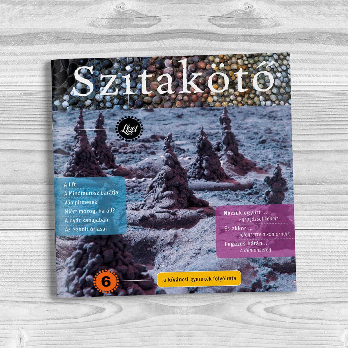 Szitakötő 2009-6