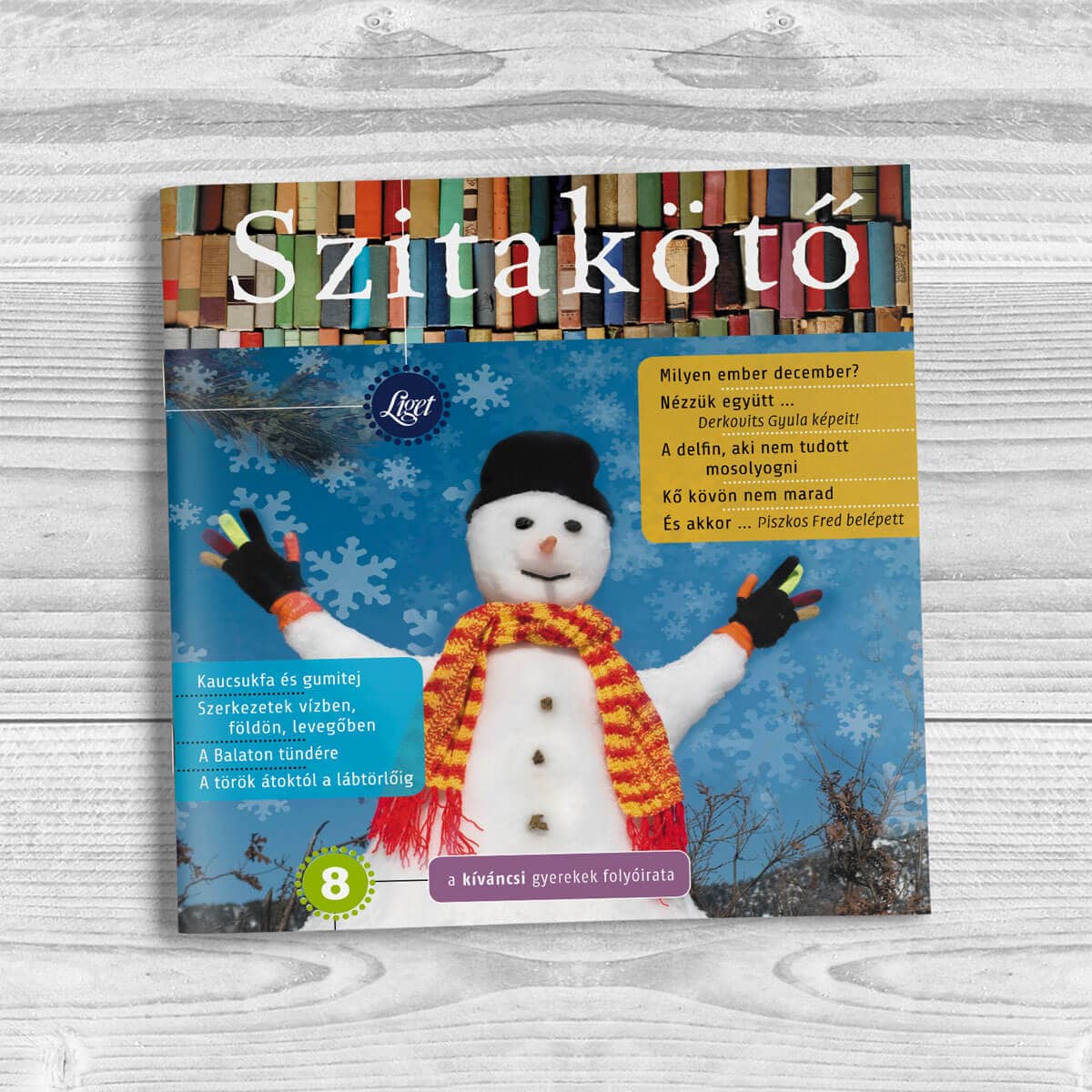 Szitakötő 2009-8