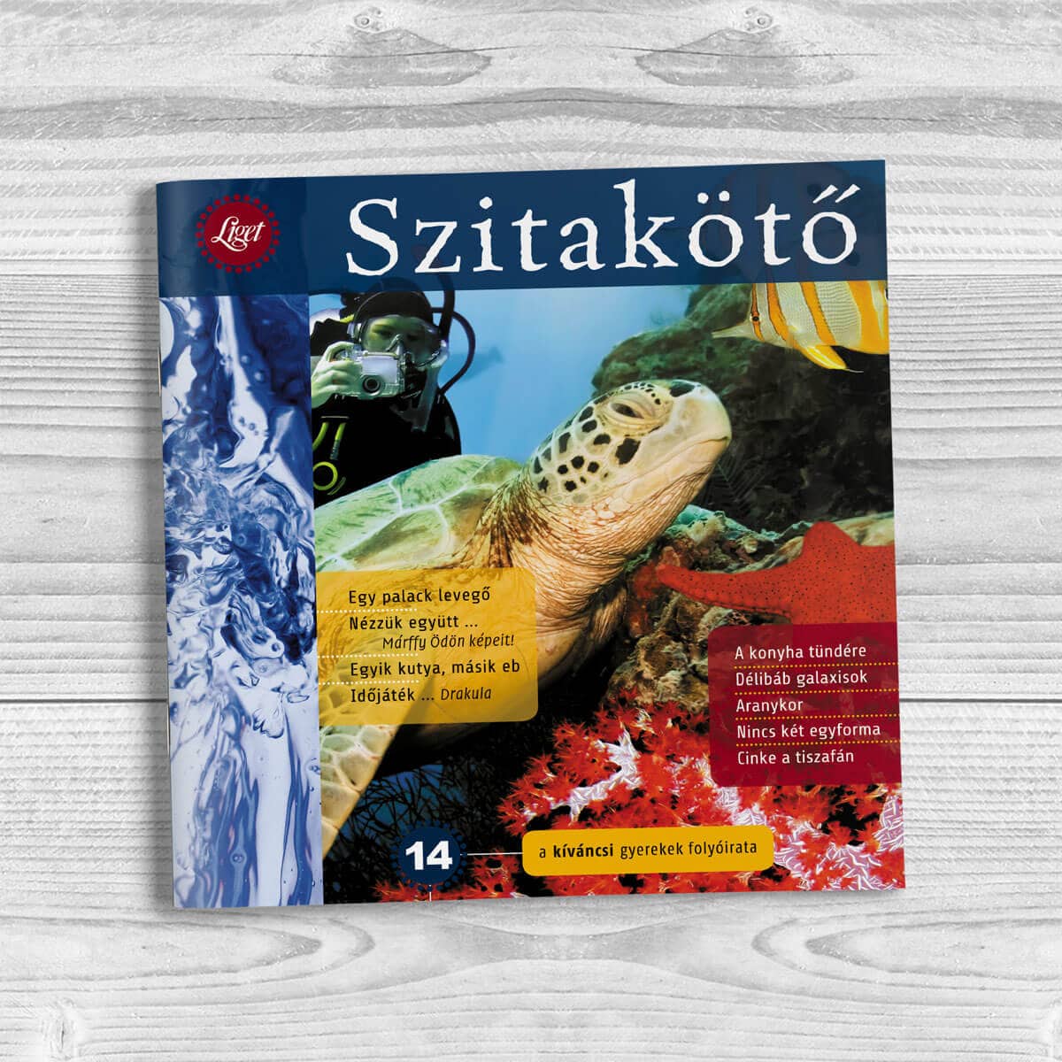 Szitakötő 2011-14