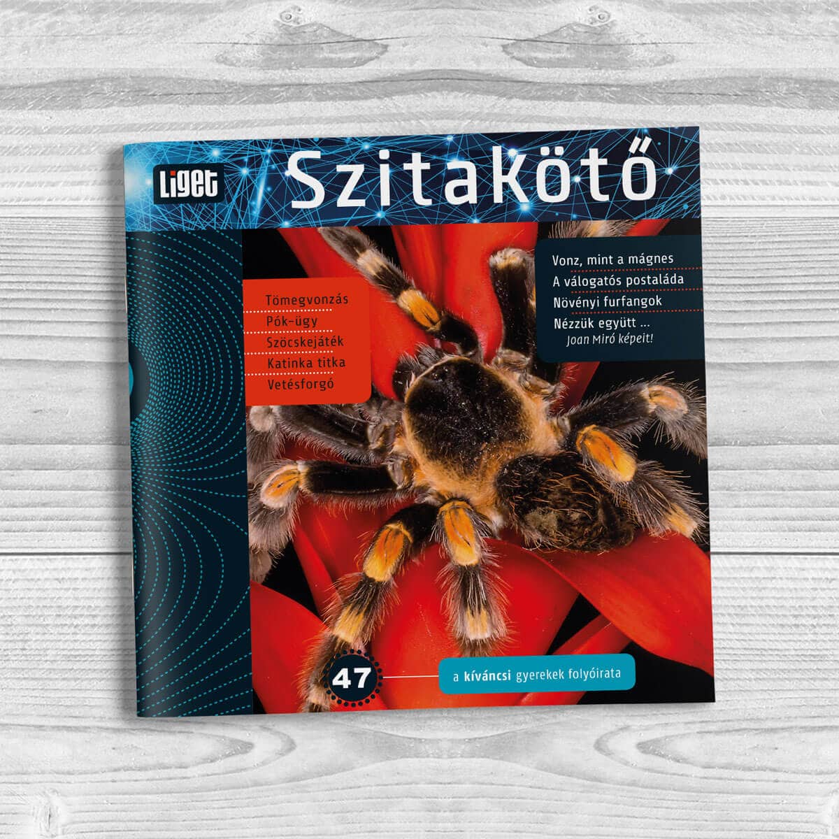 Szitakötő 2019-47