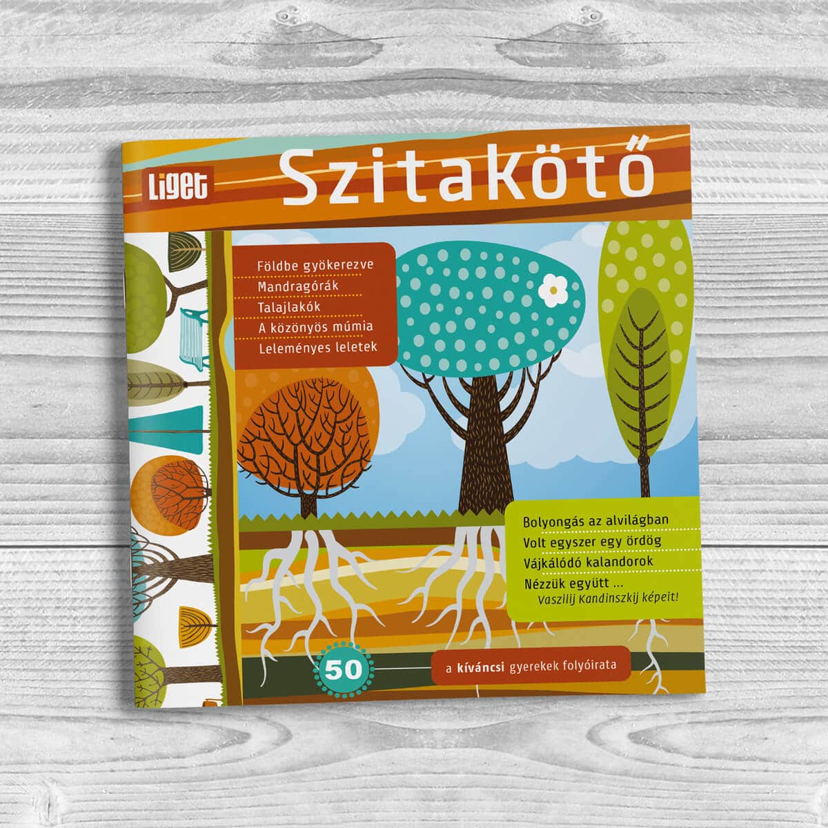 Szitakötő 2020-50