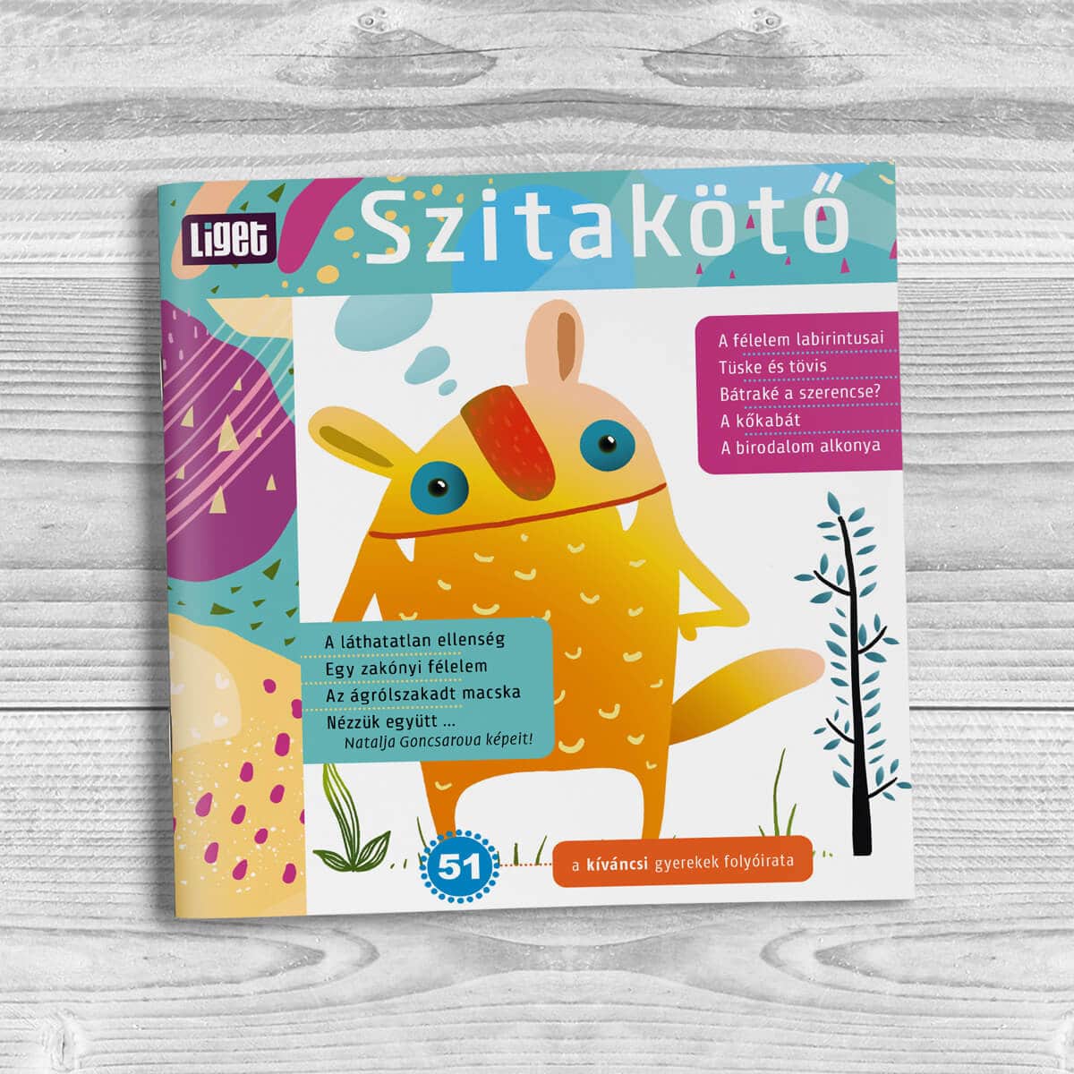 Szitakötő 2020-51