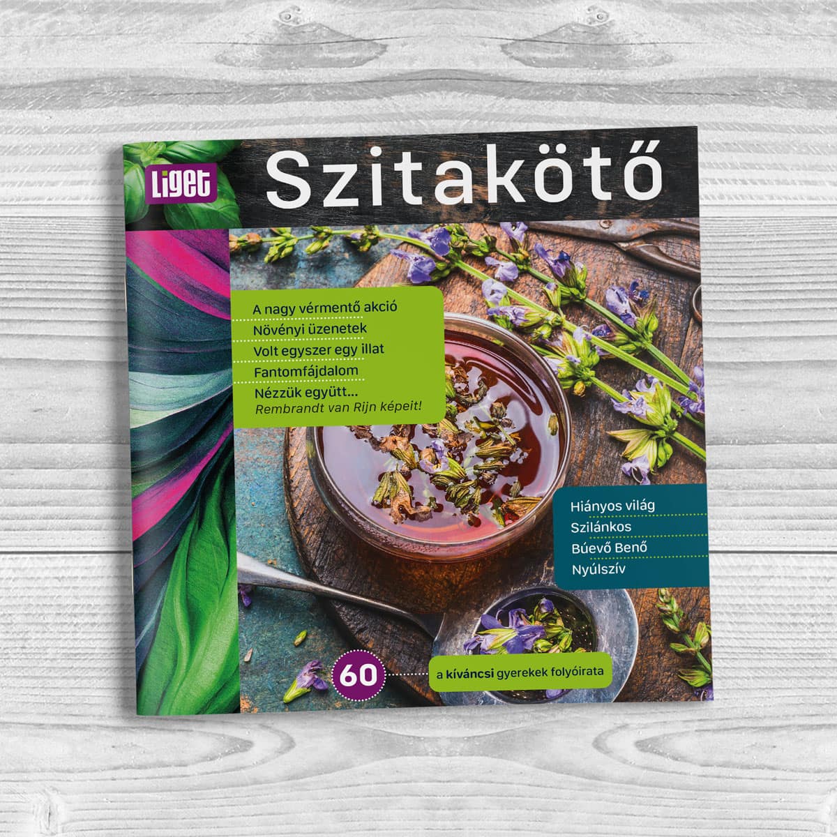 Szitakötő 2022-60