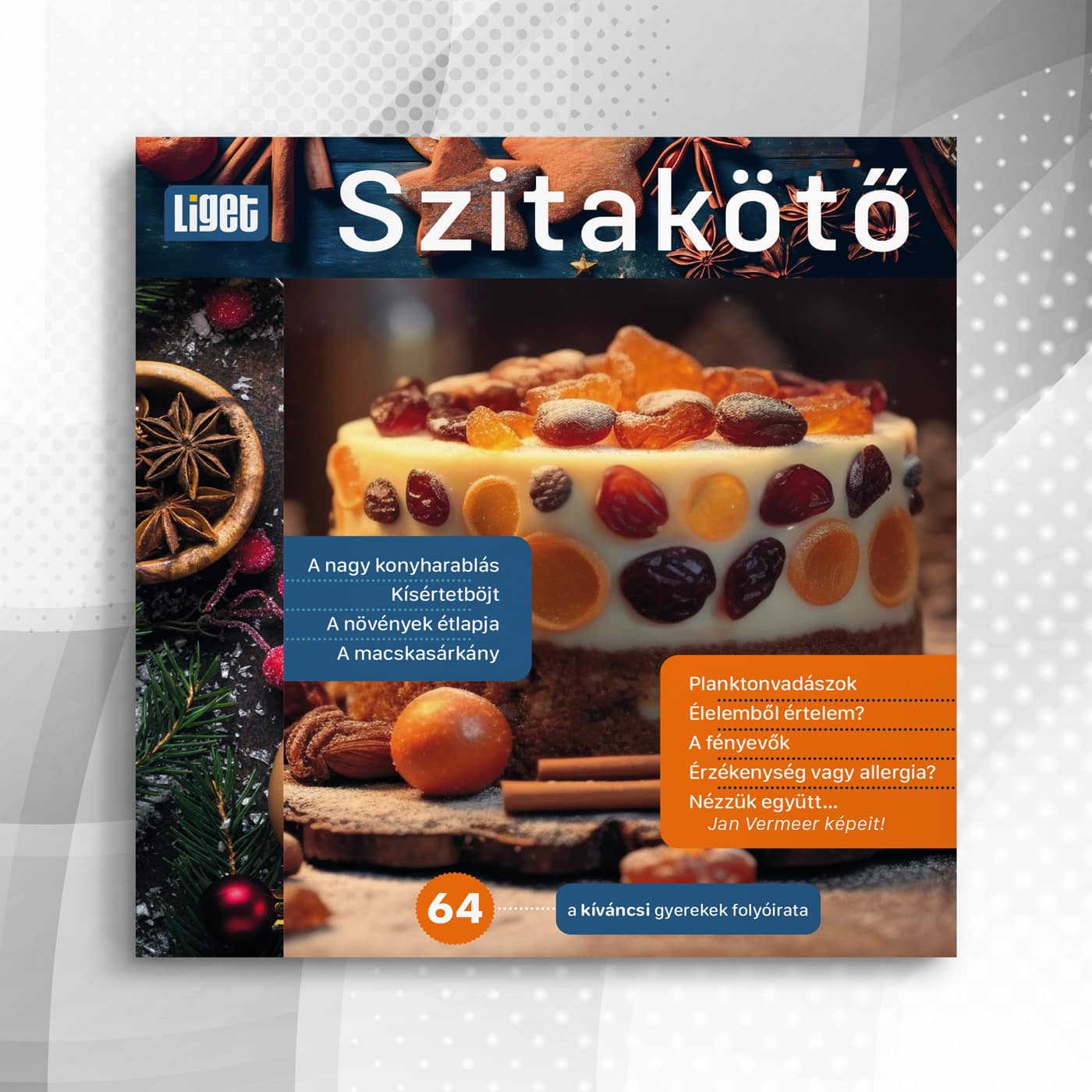 Szitakötő 2023-64