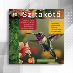 Szitakötő 2025-71