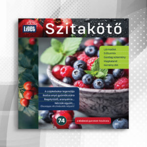 Szitakötő 2026-74