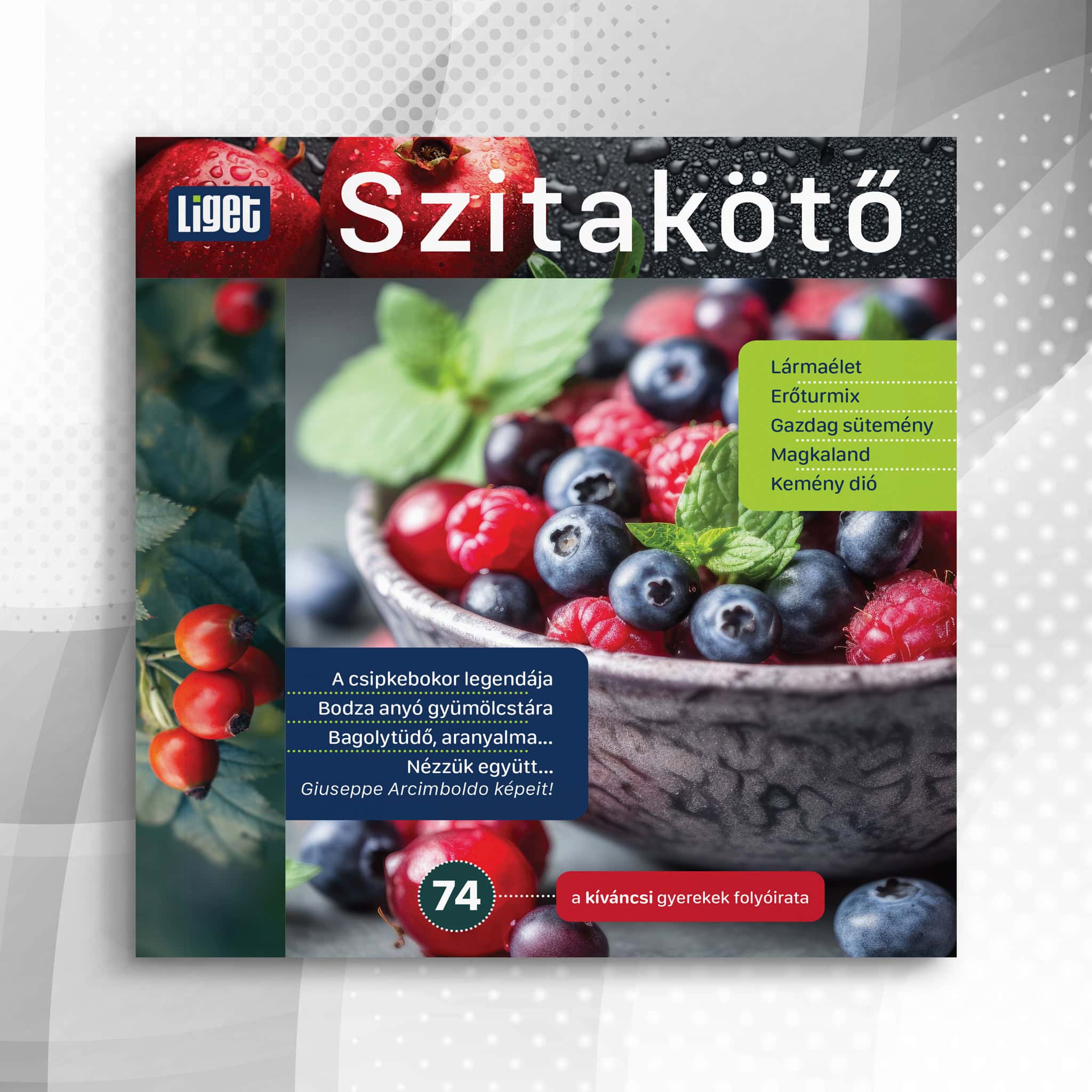Szitakötő 2026-74