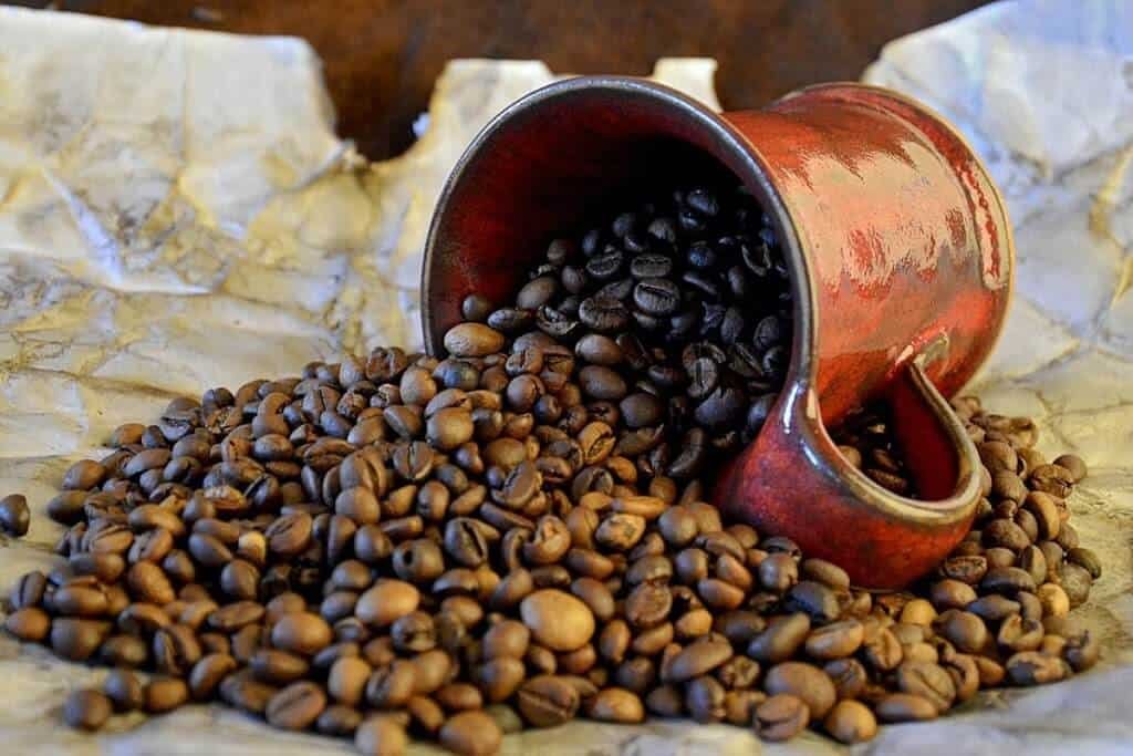 perbedaan kopi robusta dan arabika perbedaan kopi robusta dan arabika