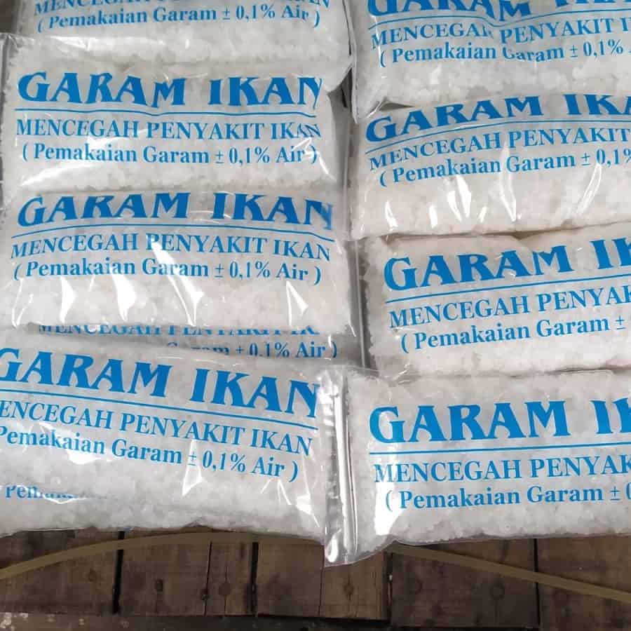 Obat Ikan Koi Wajib Punya