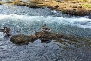 Bungalov Cozy Una Kulen Vakuf