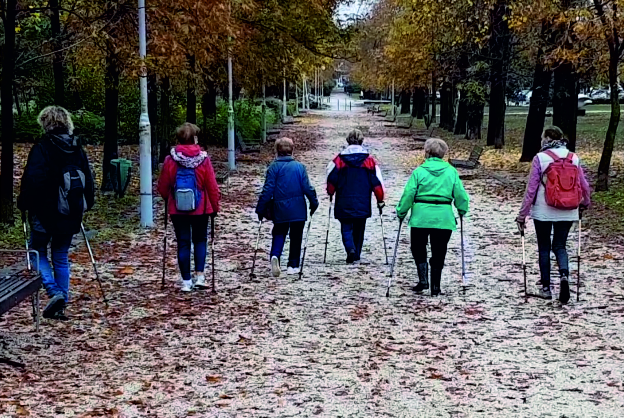 Nordic klub a Gesztenyéskertben