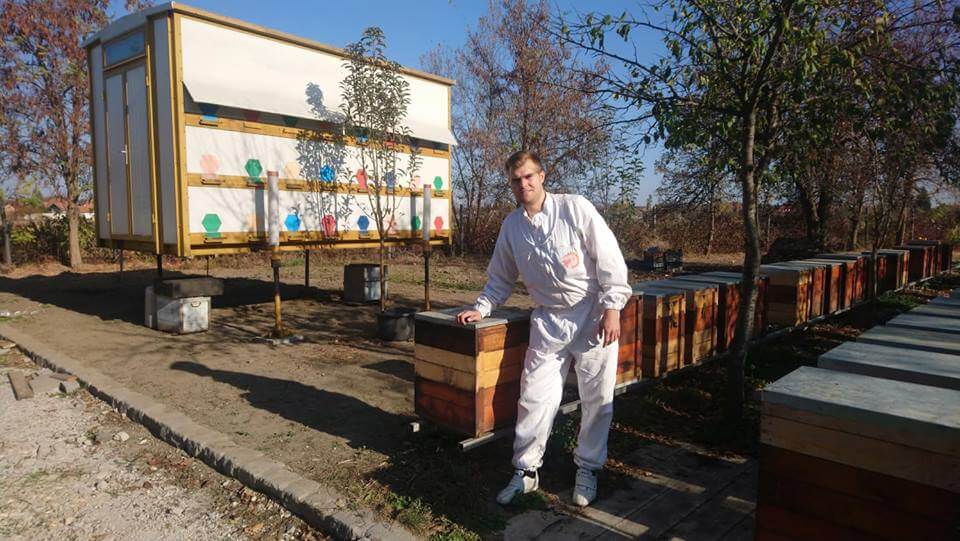Hogyan tegyünk közösen beporzó barátainkért?!