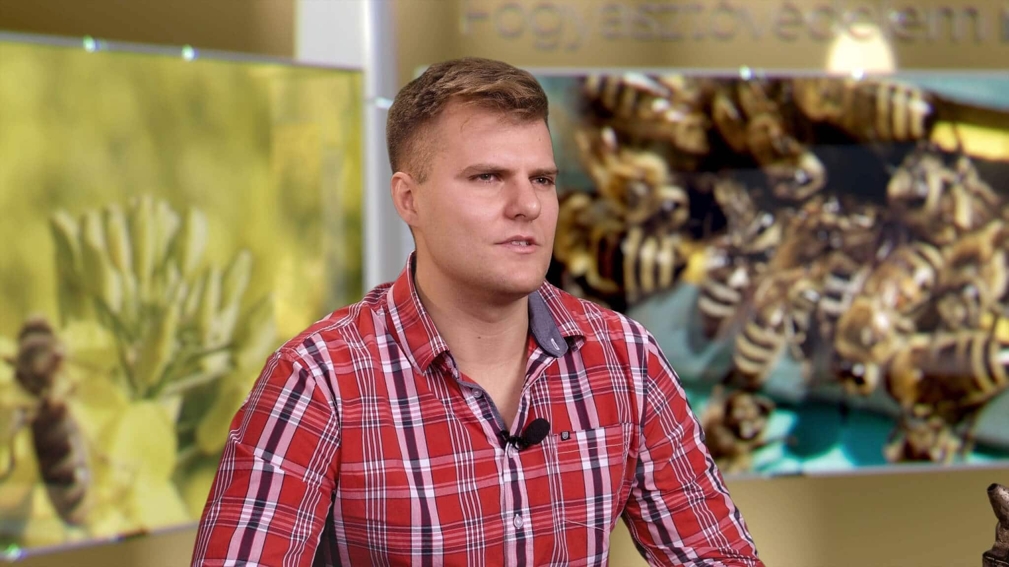 Mit tanulhatunk a méhektől? Méhek élete
