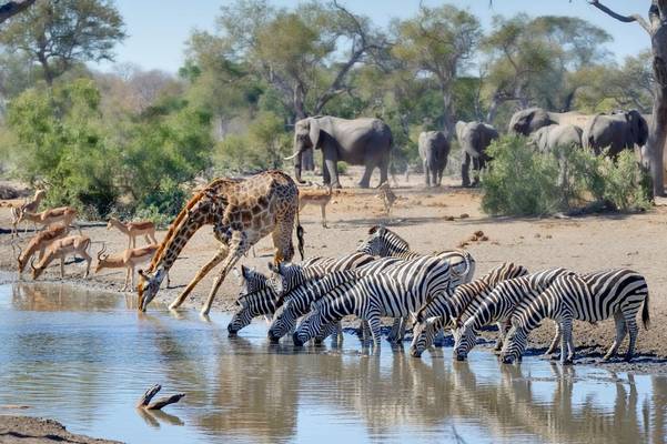Egy szivárvány nemzet hazája: Dél-Afrika