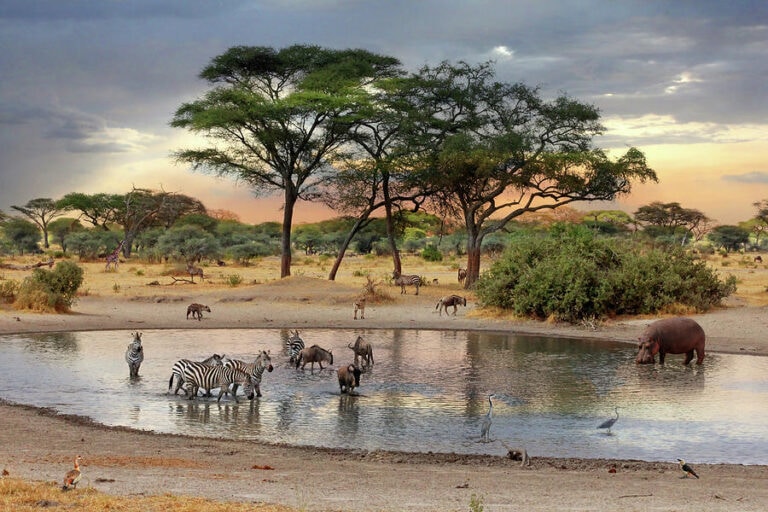 Egy szivárvány nemzet hazája: Dél-Afrika