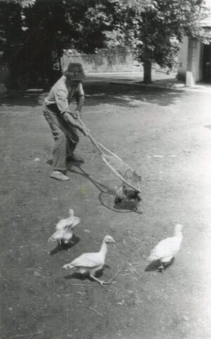 Szalonegyetem