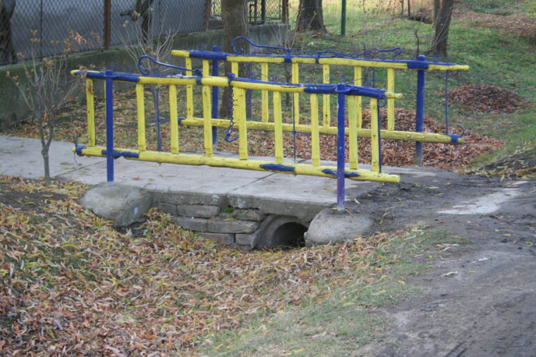 Szalonegyetem