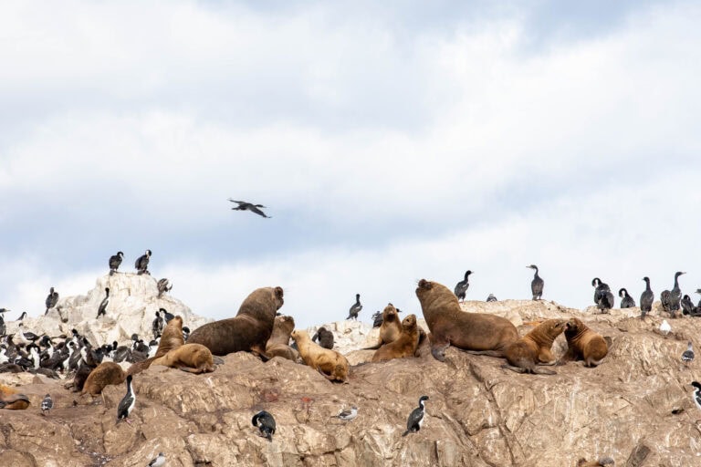 Patagónia és Tűzföld