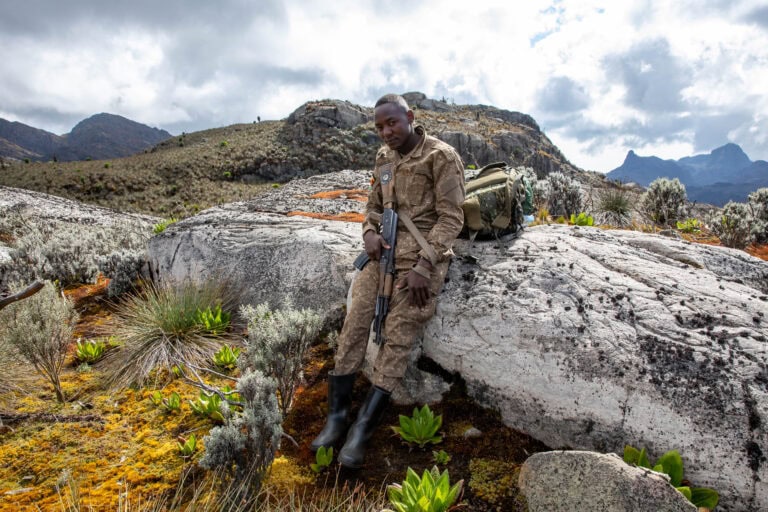 Afrika ismeretlen világöröksége: a Hold-hegység (Rwenzori – 5109 m)