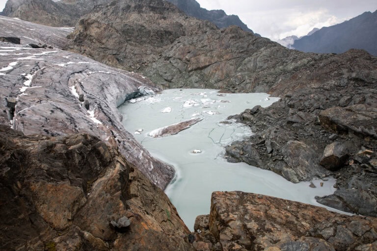 Afrika ismeretlen világöröksége: a Hold-hegység (Rwenzori – 5109 m)