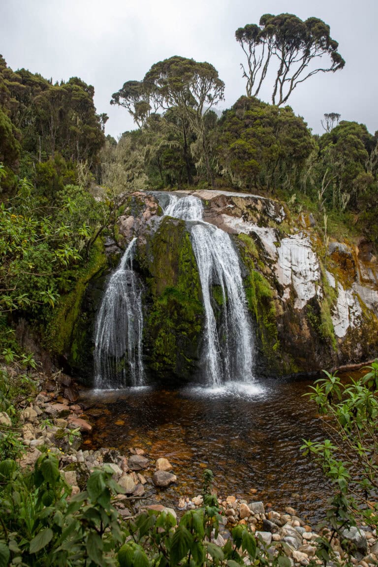 Afrika ismeretlen világöröksége: a Hold-hegység (Rwenzori – 5109 m)