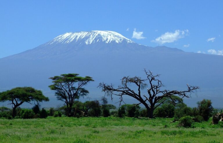 Serengeti, Kilimandzsáró, Zanzibár