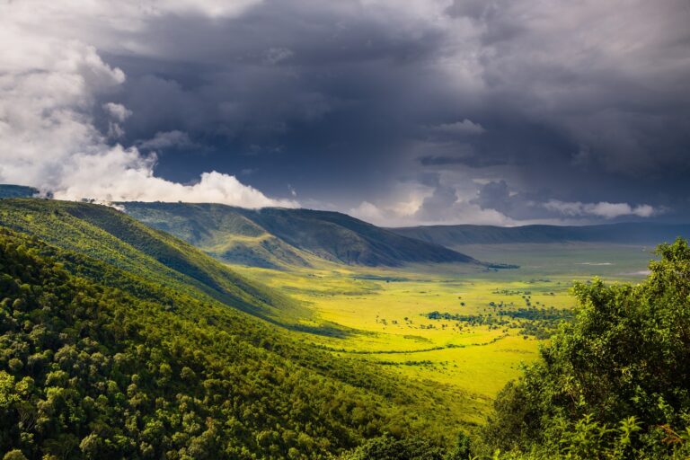 Serengeti, Kilimandzsáró, Zanzibár