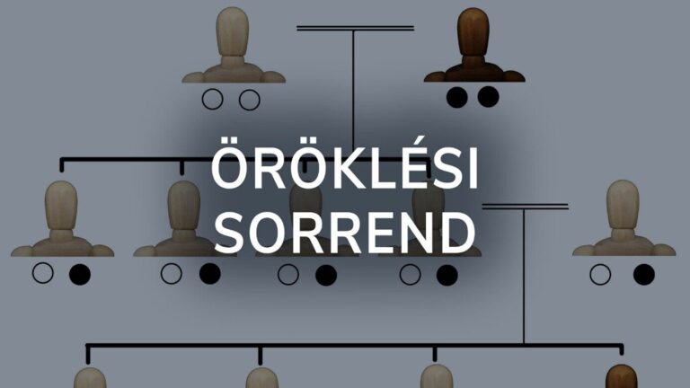 Szalonegyetem