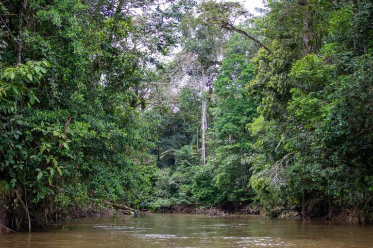 Föld közepe, világ teteje – Ecuador
