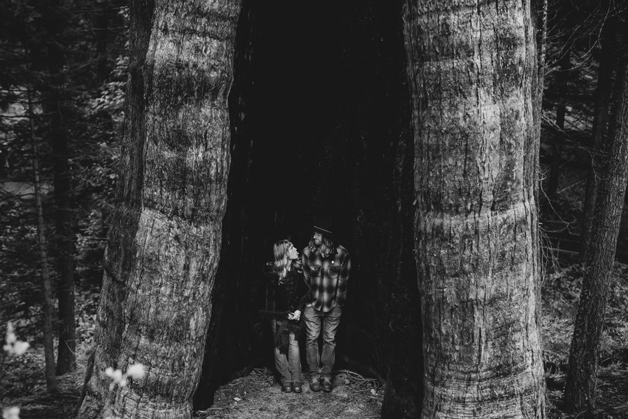 Engagement Session Photography Sequoia National Forest California 051