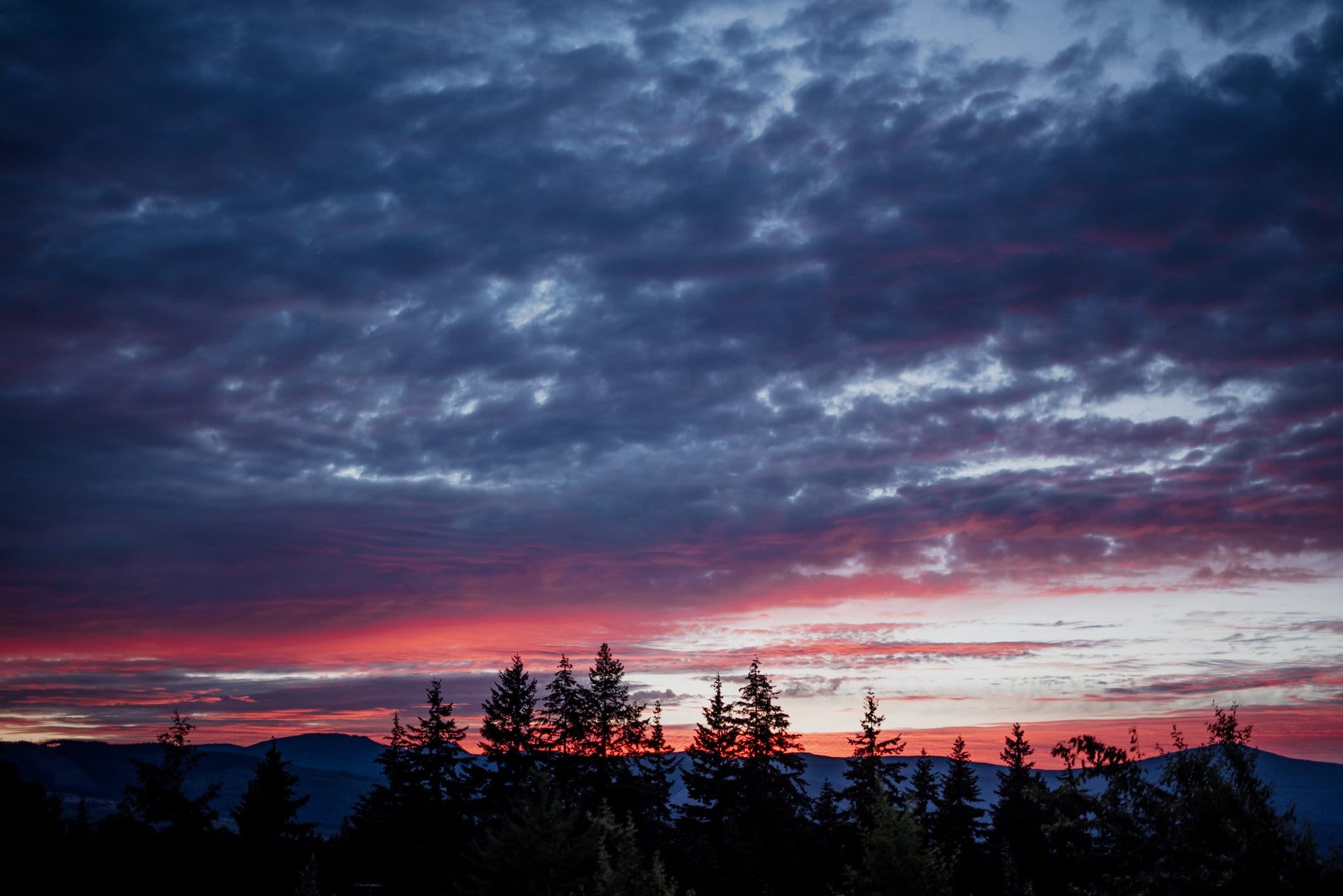 Romantic Mt Hood Organic Farms Wedding Photography