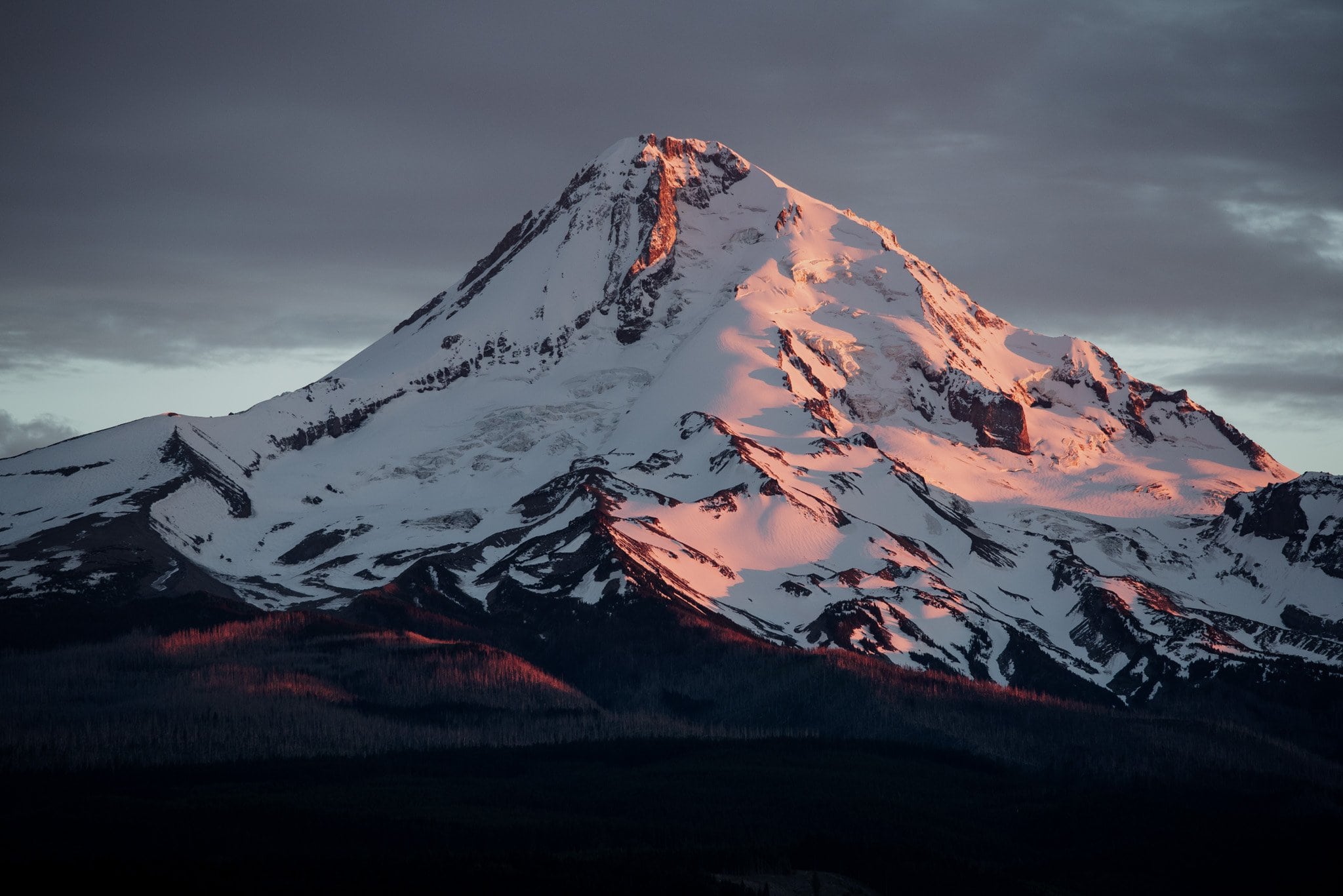 Romantic Mt Hood Organic Farms Wedding Photography