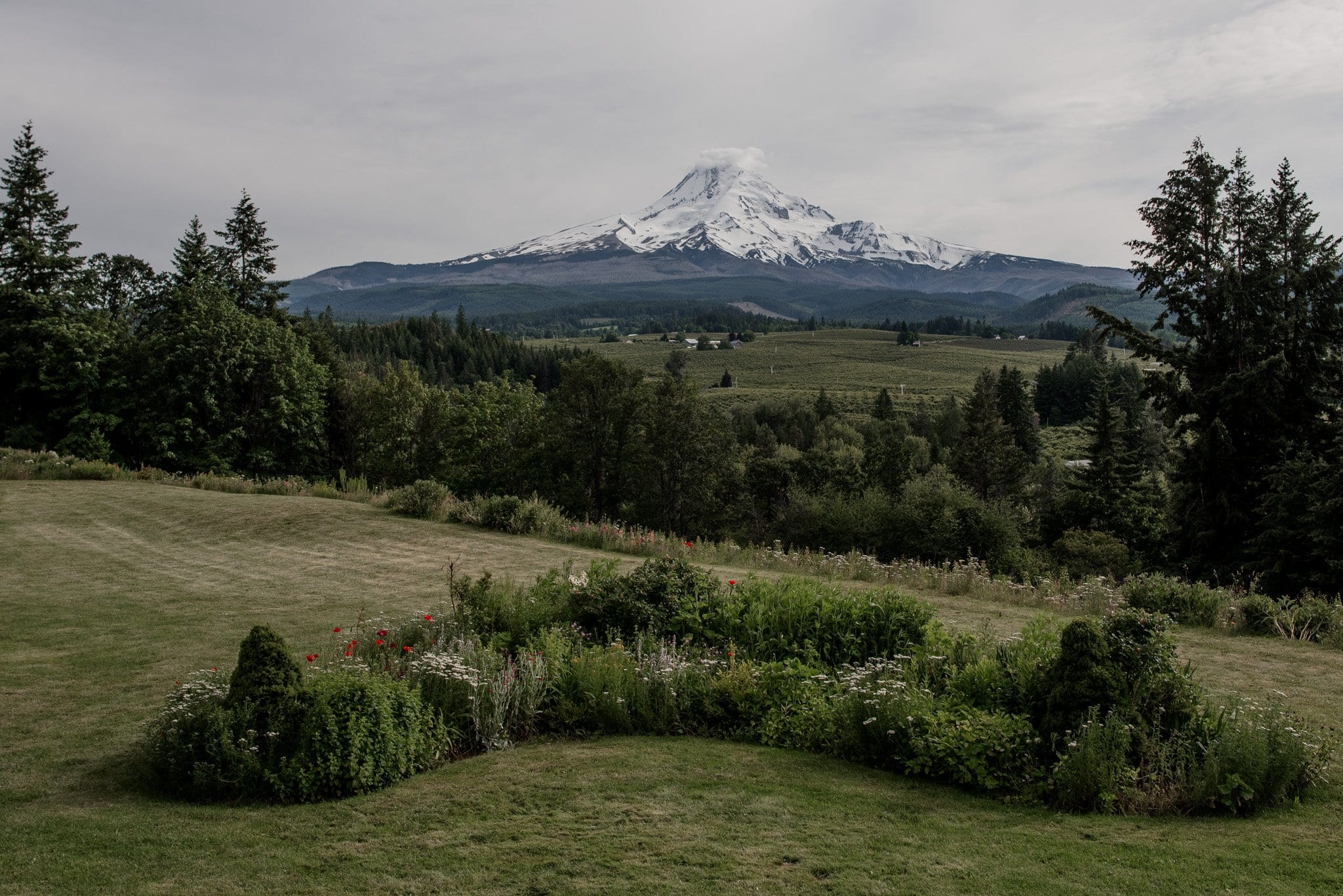 Romantic Mt Hood Organic Farms Wedding Photography
