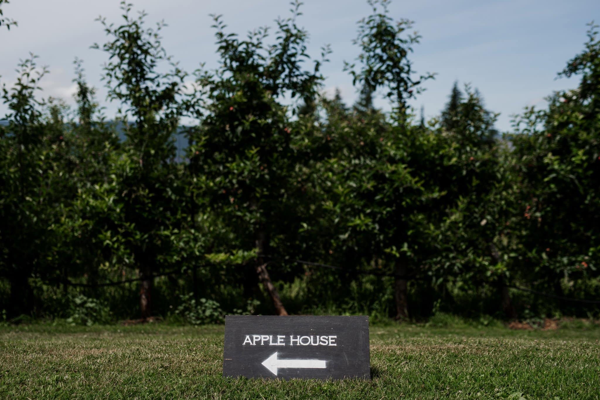 Romantic Mt Hood Organic Farms Wedding Photography