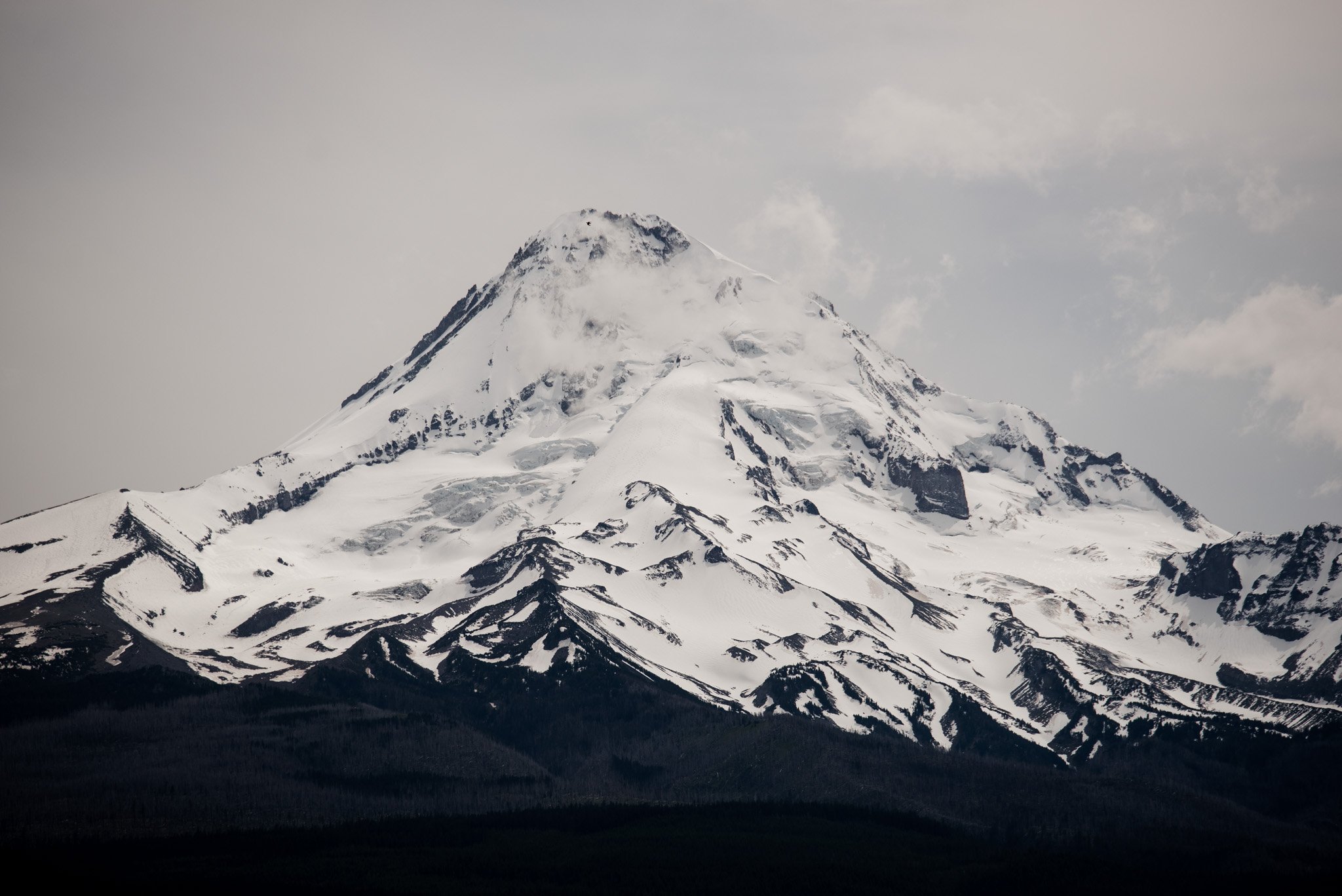 Romantic Mt Hood Organic Farms Wedding Photography
