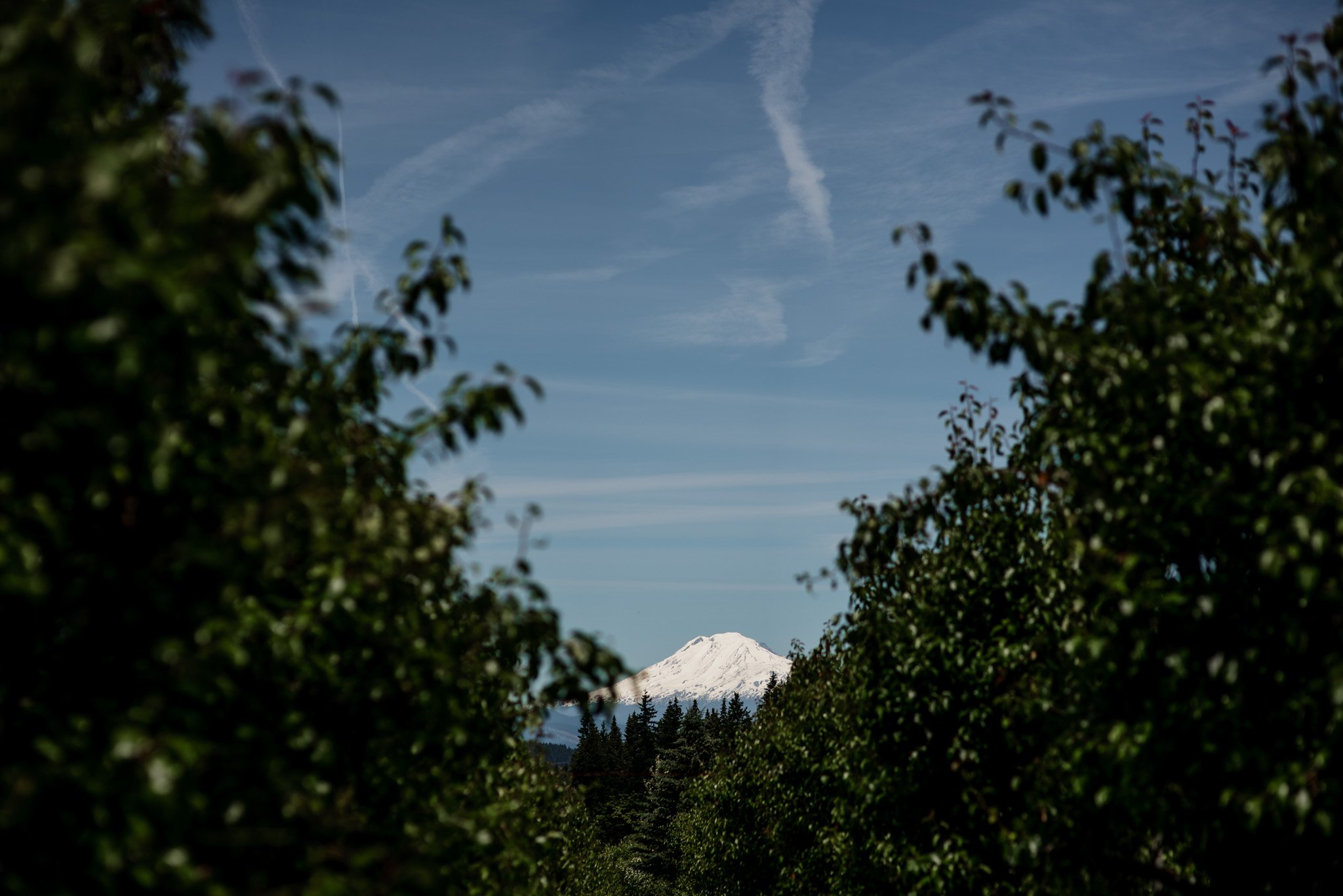 Romantic Mt Hood Organic Farms Wedding Photography