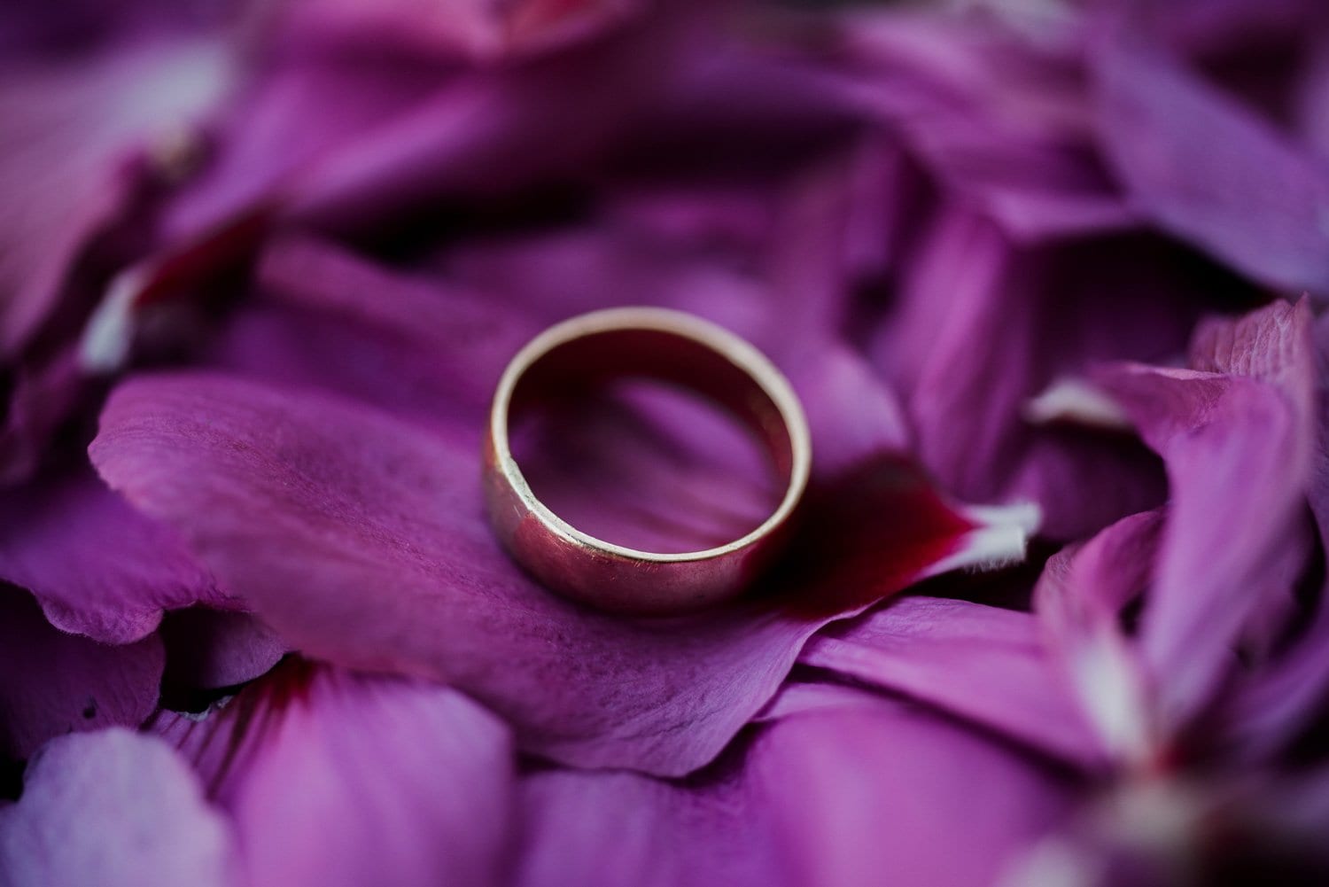 Historic Overlook House Wedding Photography
