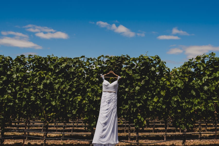 scottish vineyard wedding photography oregon destination 167