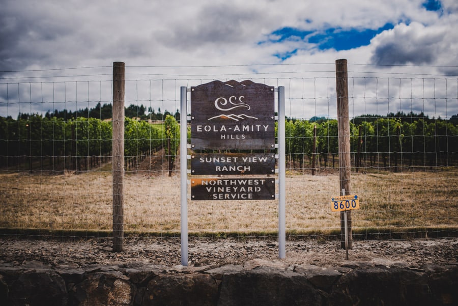 scottish vineyard wedding photography oregon destination 168