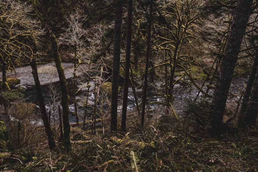 Abiqua Falls Waterfall Engagement Session Photography 001