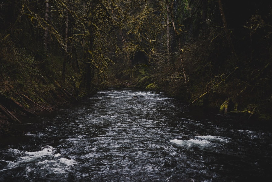 Abiqua Falls Waterfall Engagement Session Photography 003