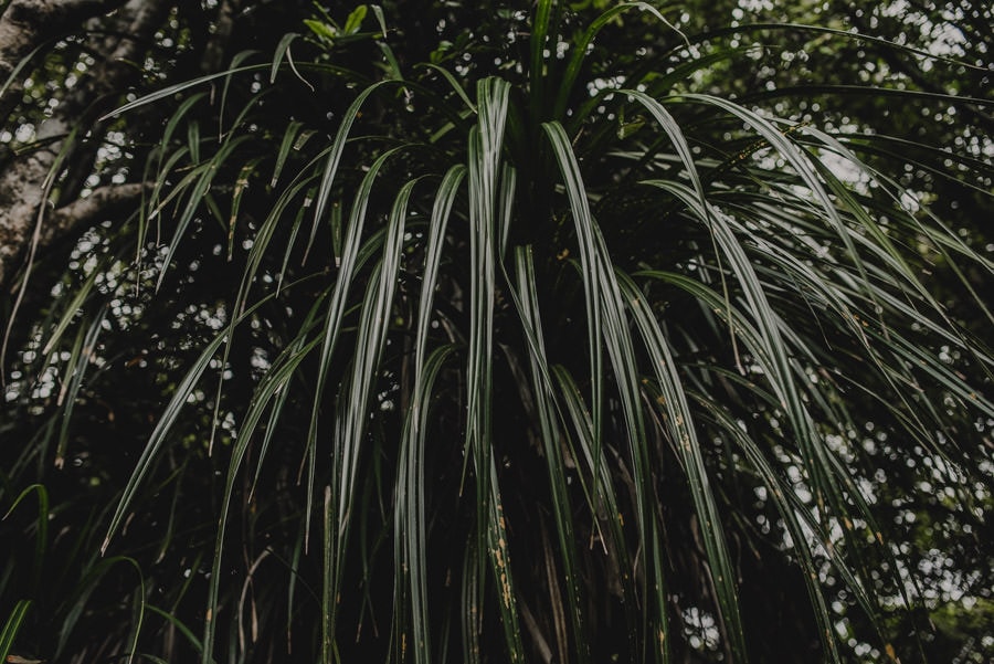 New Zealand Road Trip Adventure Photography 002