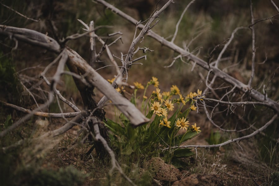 smith rock engagement session photography 010