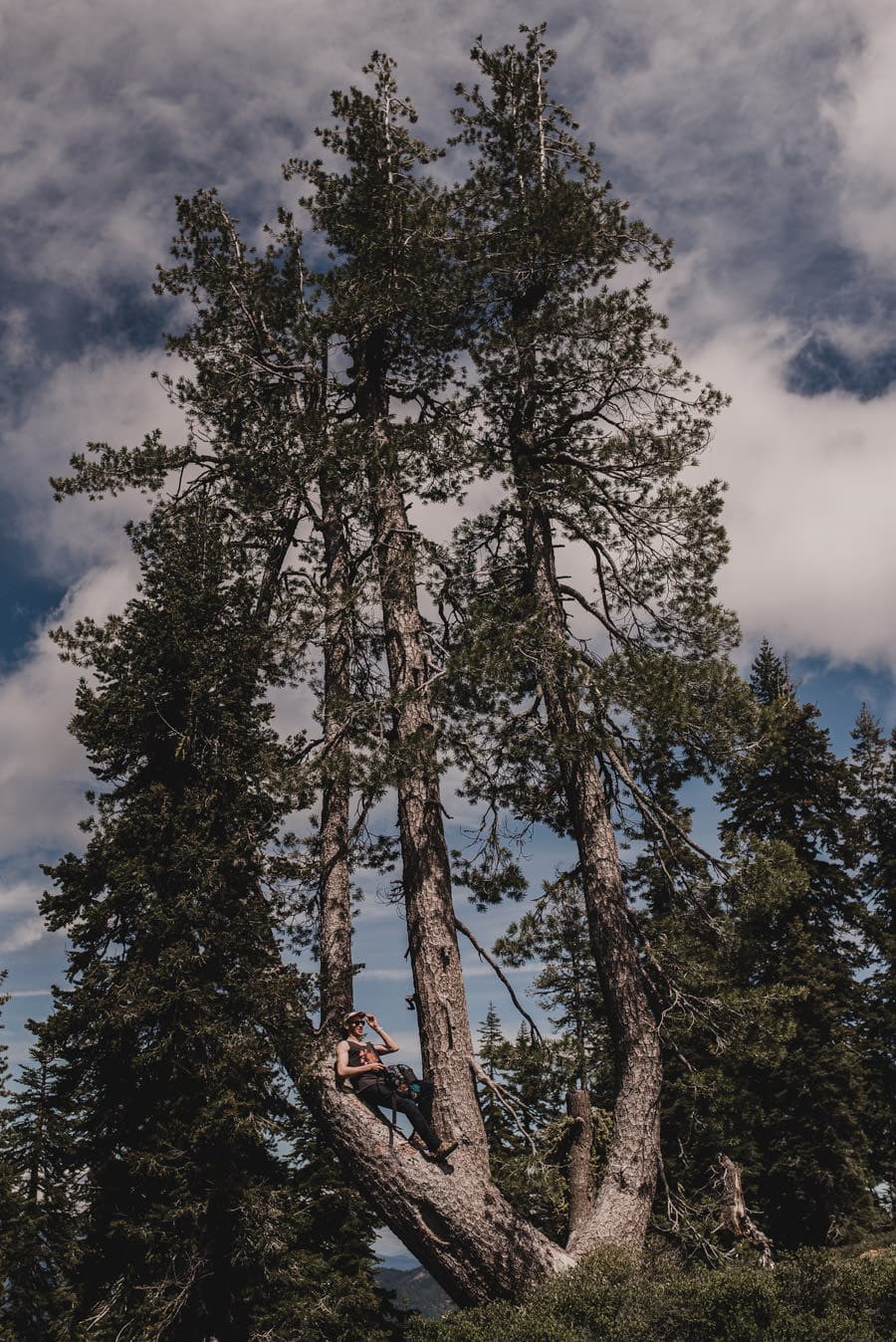 Mount Shasta Adventure Photography 005