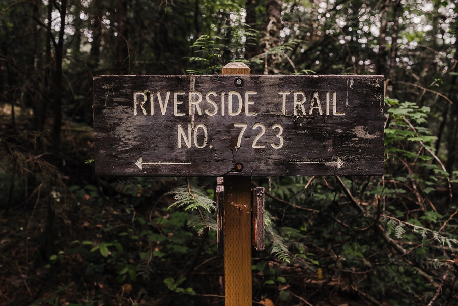 Clackamas River Engagement Photography 005