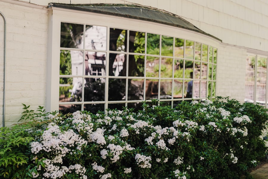 Leach Botanical Garden Wedding Photography 007