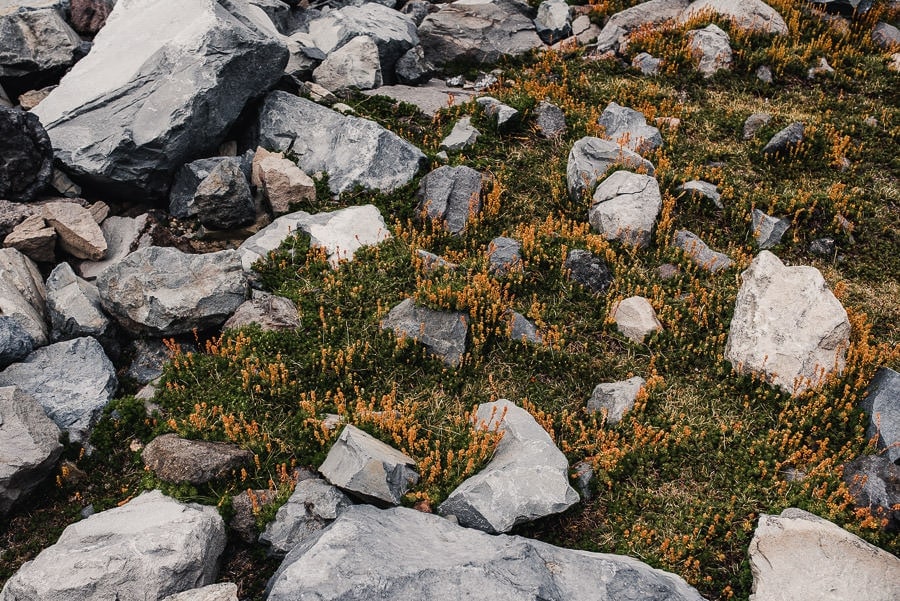 Mt Thielsen Adventure Photography 009 1