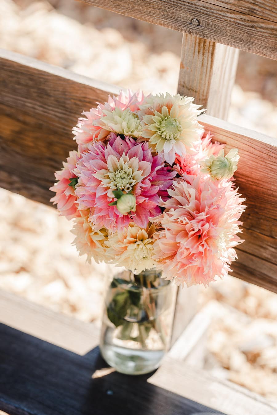 Roshambo Art Farm Wedding Photograpyhy