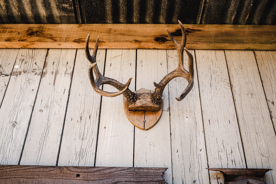 Roshambo Art Farm Wedding Photograpyhy